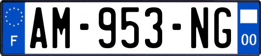 AM-953-NG