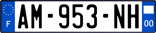 AM-953-NH