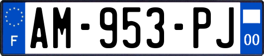AM-953-PJ