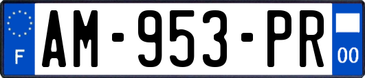 AM-953-PR