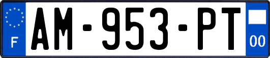 AM-953-PT