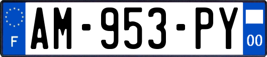 AM-953-PY