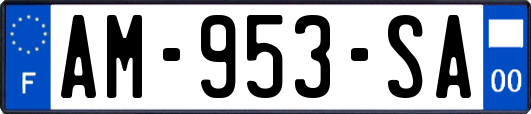 AM-953-SA