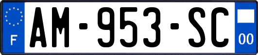 AM-953-SC