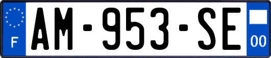 AM-953-SE