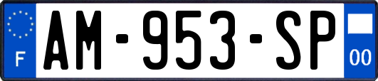 AM-953-SP