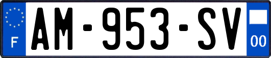 AM-953-SV