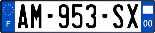 AM-953-SX