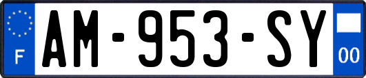 AM-953-SY