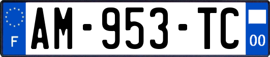 AM-953-TC