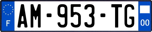 AM-953-TG