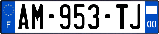 AM-953-TJ