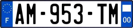 AM-953-TM