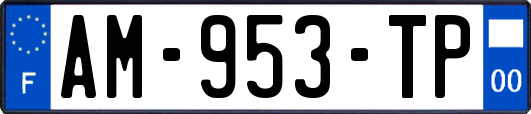 AM-953-TP