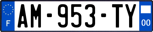 AM-953-TY