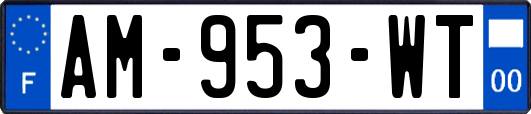 AM-953-WT