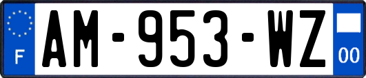 AM-953-WZ