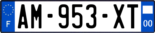 AM-953-XT