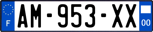 AM-953-XX