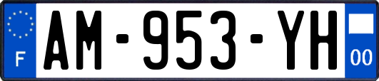 AM-953-YH