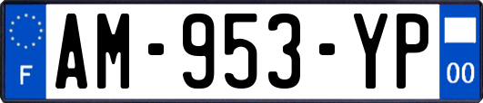 AM-953-YP