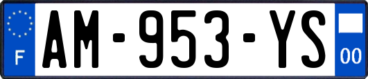 AM-953-YS