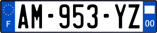 AM-953-YZ