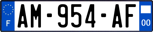 AM-954-AF