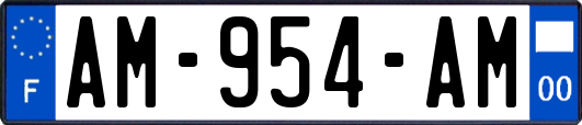 AM-954-AM