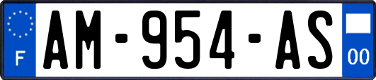 AM-954-AS