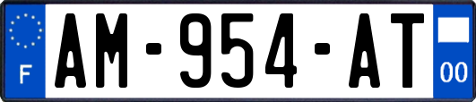 AM-954-AT