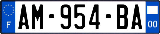 AM-954-BA