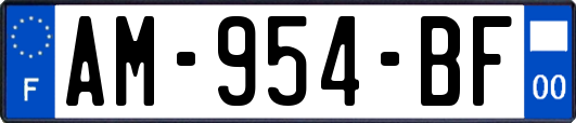 AM-954-BF