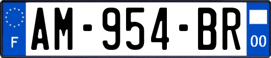 AM-954-BR