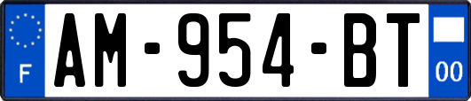 AM-954-BT