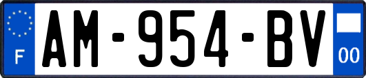 AM-954-BV