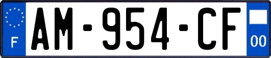 AM-954-CF