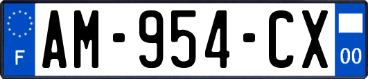 AM-954-CX