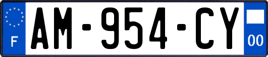 AM-954-CY