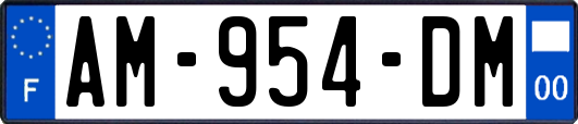 AM-954-DM