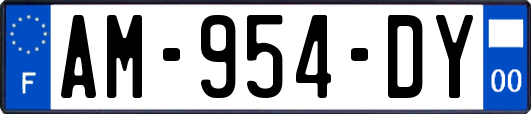 AM-954-DY
