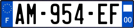 AM-954-EF