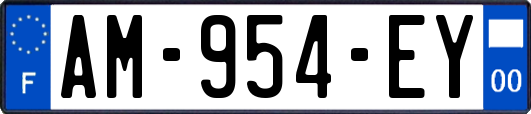 AM-954-EY