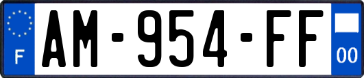 AM-954-FF