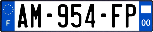 AM-954-FP