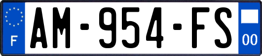 AM-954-FS
