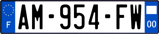 AM-954-FW