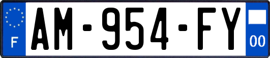 AM-954-FY
