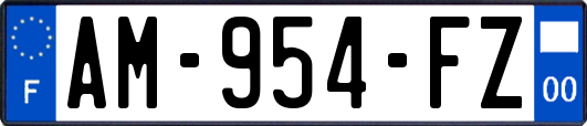 AM-954-FZ