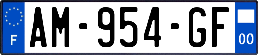 AM-954-GF